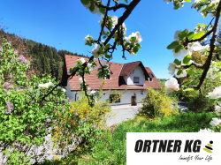 Haus-Bilder